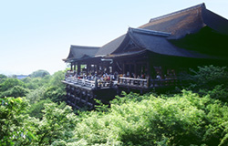 Kiyomize Temple