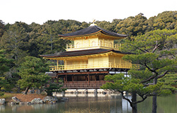 Kinkaku ji(Golden pavillion)