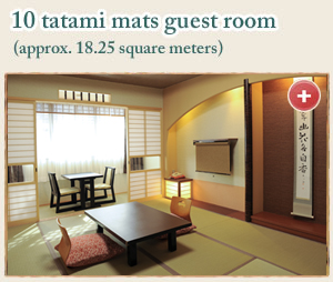 10 tatami mats guest room
