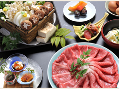 Shabushabu or Sukiyaki dinner