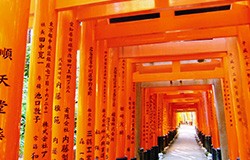 Fushimi inari shrine